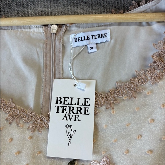 Belle Terre Cream Blush Embroidered Tulle Floral Dot Dress Feminine Fairycore XL - Picture 9 of 10